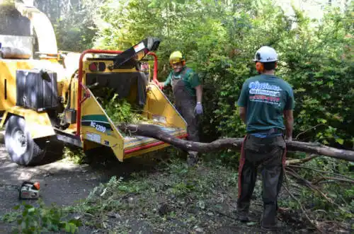 tree services Ankeny